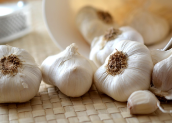 Stavite ovo povrće u vrt ili vaš dom i zauvijek ćete otjerati miševe i štakore