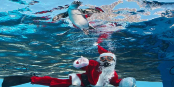 Ronilac u odijelu Djeda Mraza oduševio posjetitelje akvarija u Tokiju: Dijelio hranu pingvinima