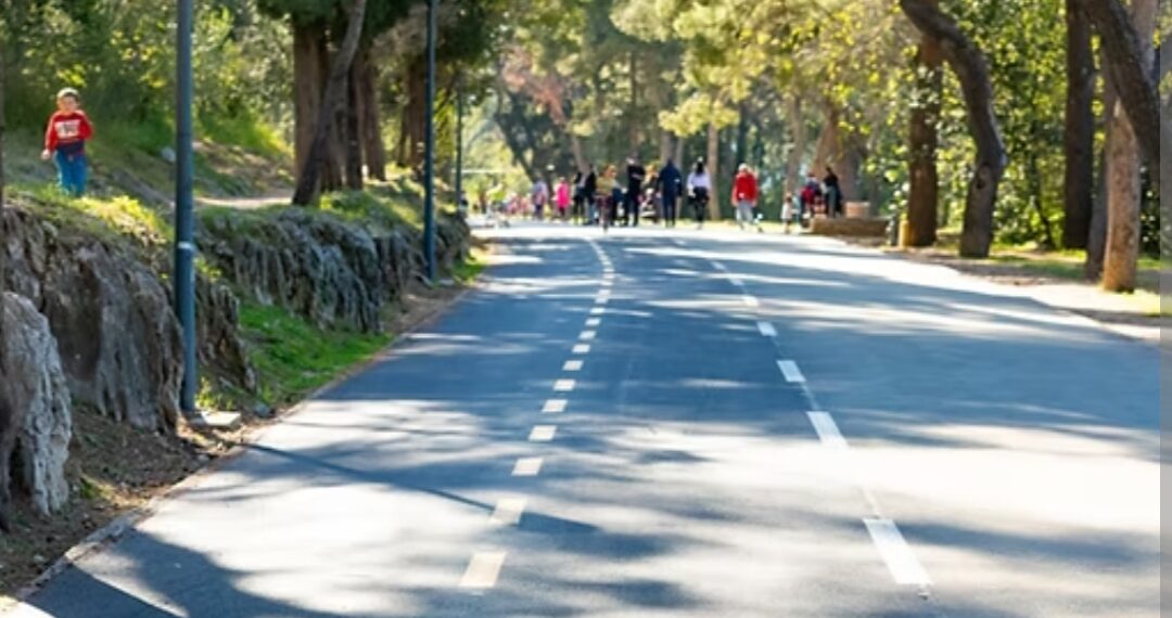 Split: Sve je spremno za sanaciju park- šume Marjan