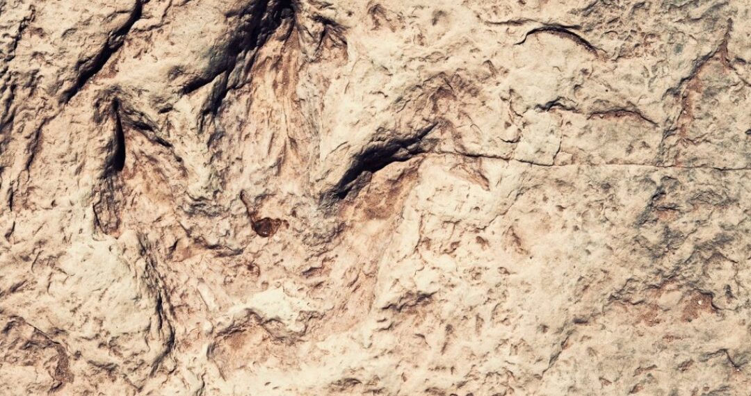 U Boliviji otkriven zapanjujuć broj otisaka dinosaura