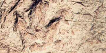 U Boliviji otkriven zapanjujuć broj otisaka dinosaura