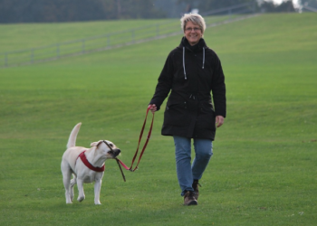 Ovih sedam znakova jasan su pokazatelj da vam je pas odan