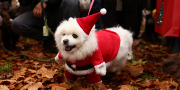 London je ovog vikenda bio dom preslatke parade udomljenih pasa u božićnom ruhu