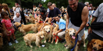 Najslađe okupljanje za svjetski rekord: U Buenos Airesu se u parku okupilo 2.397 zlatnih retrivera