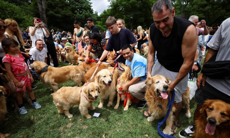 Najslađe okupljanje za svjetski rekord: U Buenos Airesu se u parku okupilo 2.397 zlatnih retrivera