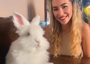 Veliki kafe bar samo za životinje