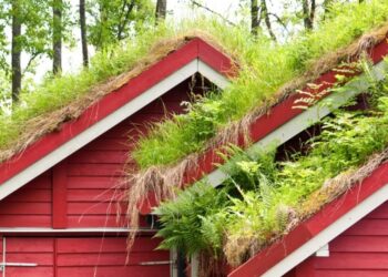 Zeleni krovovi- urbani poklon koji pospješuje bioraznolikost