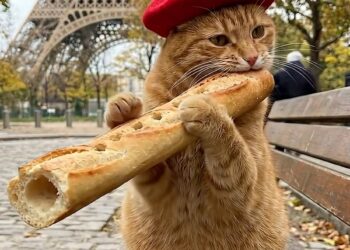 Mačke su najpopularniji ljubimci u AI tvorevinama