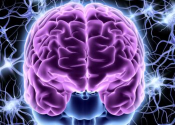 Mozak, neuroni i granice suvremene neurologije