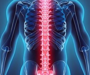 Leđna moždina i kako je nastoje spojiti