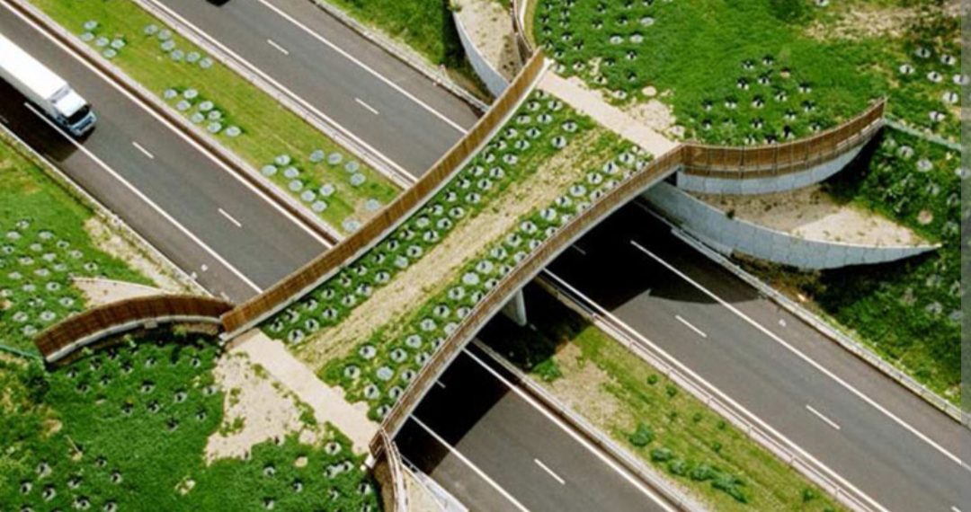 Koja je važnost zelenih mostova