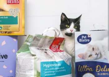 Koji pijesak je najbolji za mačke