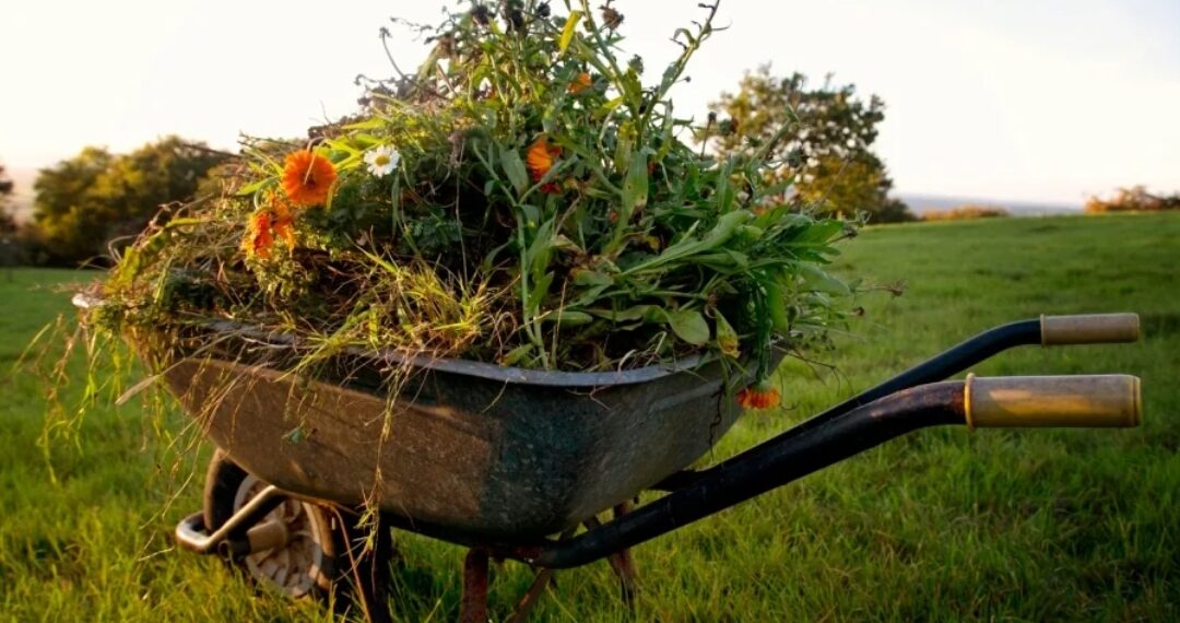Vatrogasci prijavili veći broj intervencija zbog spaljivanja biljnog otpada