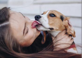 Što zapravo znači kada pas liže vlasnika