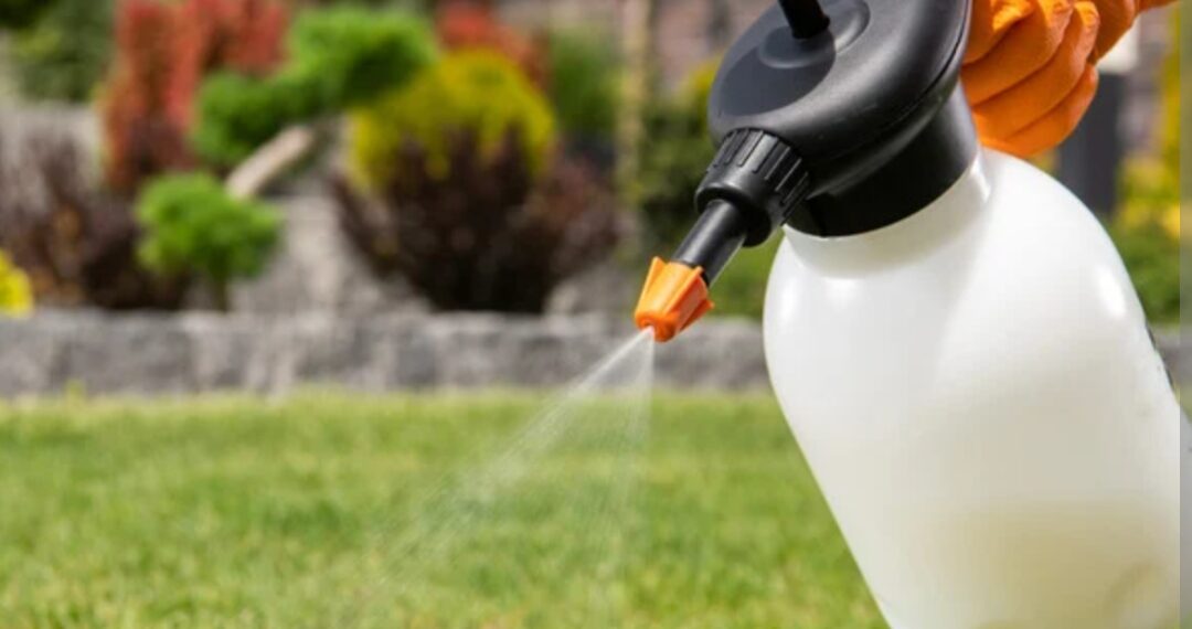 Kako pesticidi završavaju u našim vodama