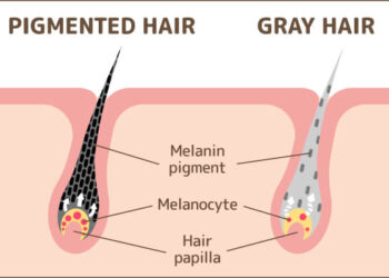 Sijeda kosa će moći vratiti boju