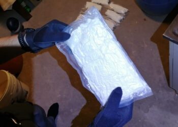 Vještaci: Kokain vodi srčanom zastoju ili suicidu