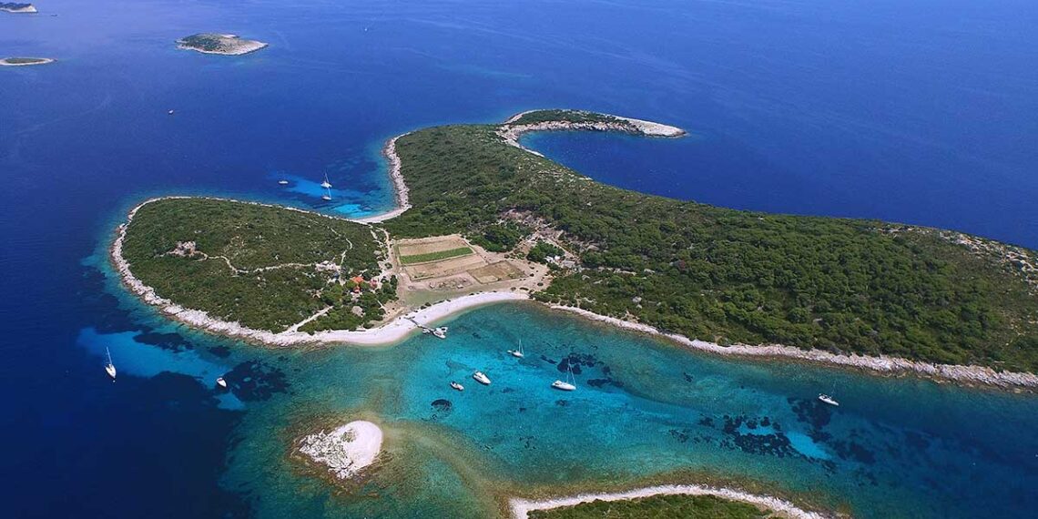 Uzurpatori Budikovca su kažnjeni, protjerani i imaju sudove