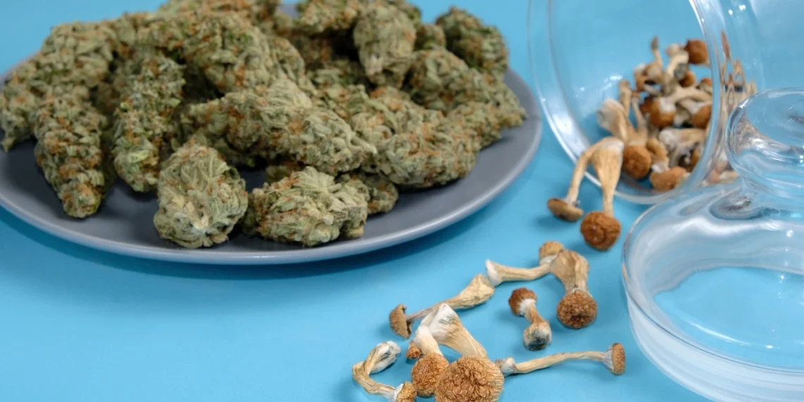 kanabis i gljive