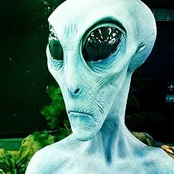 Velik broj ljudi prijavljuje susrete s izvanzemaljcima.