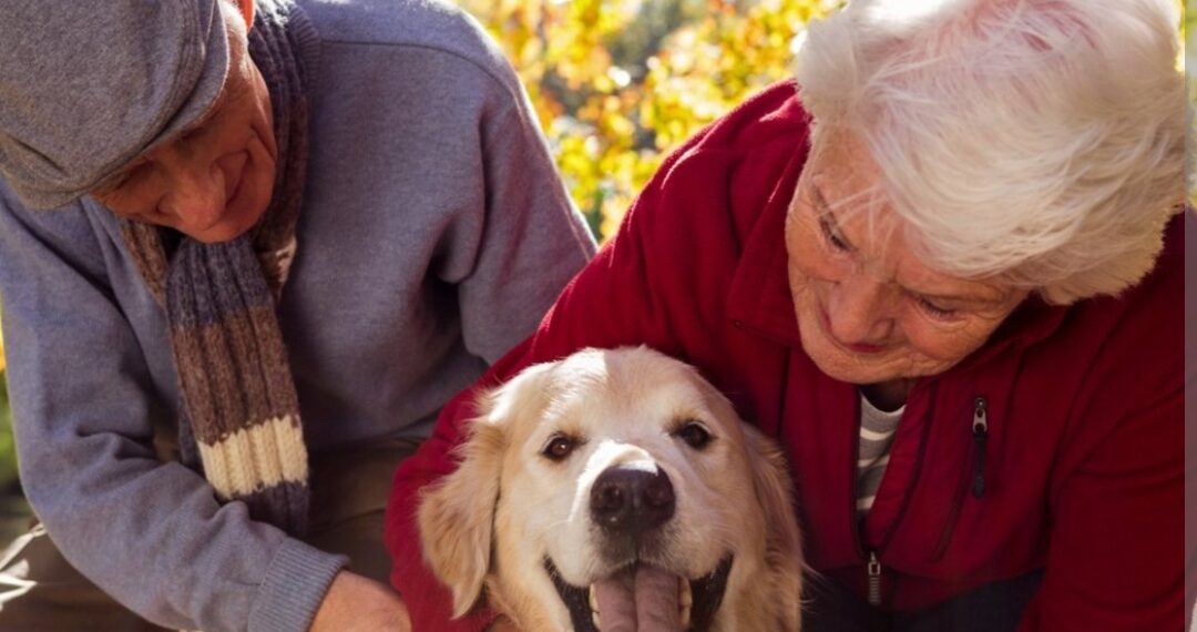 Kućni ljubimci potiču bolje pamćenje kod starijih ljudi