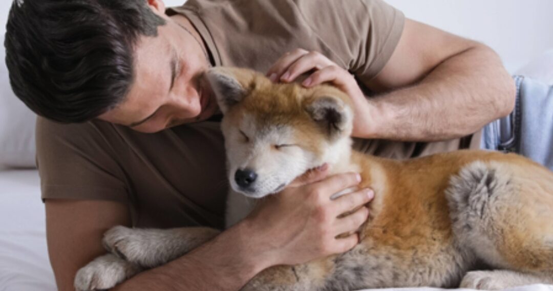 Trener pasa otkrio koju rečenicu biste trebali izbjegavati u razgovoru sa svojim psom