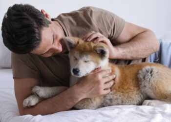 Trener pasa otkrio koju rečenicu biste trebali izbjegavati u razgovoru sa svojim psom