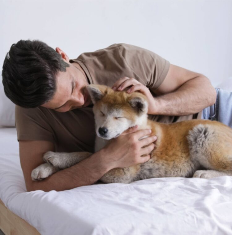 Trener pasa otkrio koju rečenicu biste trebali izbjegavati u razgovoru sa svojim psom