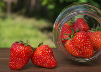 Domaće ili uvozne? Stručnjaci otkrivaju kako prepoznati prave jagode