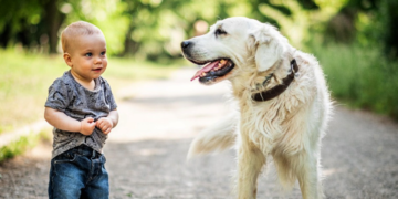 Koje pasmine pasa su najbolje za djecu? Stručnjaci otkrivaju top 4 izbora