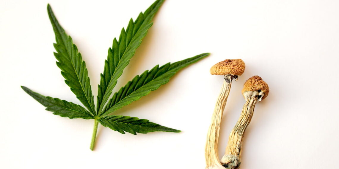 Zašto kanabis i halucinogene gljive još nisu odobrene za depresiju?