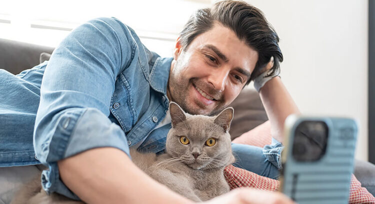 Mačke dokazano liječe kosti, tetive i rane tvrde stručnjaci