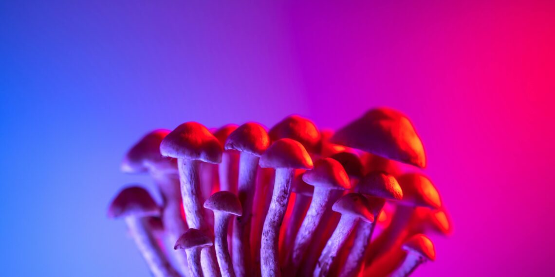 Psilocibin i mentalno zdravlje: što pokazuju istraživanja
