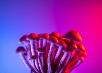 Psilocibin i mentalno zdravlje: što pokazuju istraživanja