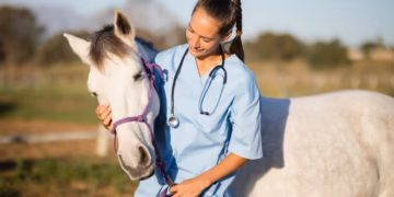 veterinar