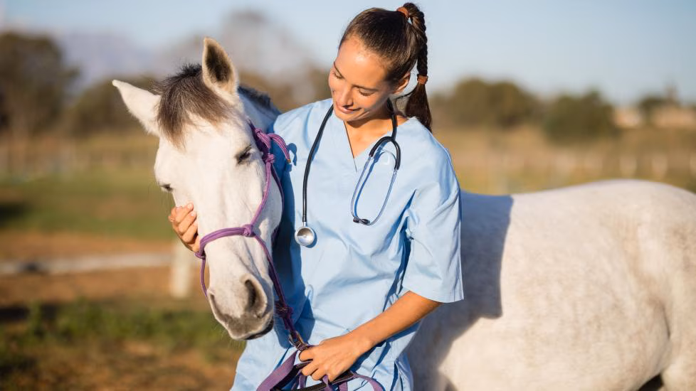 veterinar