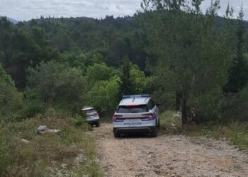 Policija je odgovorna za zločin