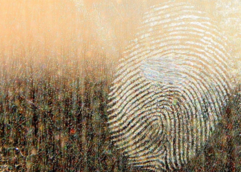 Bila je špijunka ili žrtva? 50 godina misterije žene iz Isdalena