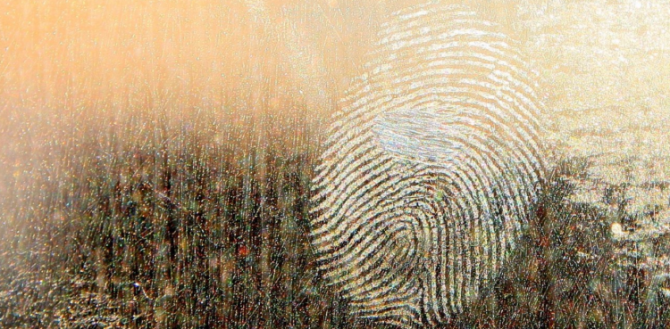 Bila je špijunka ili žrtva? 50 godina misterije žene iz Isdalena