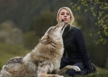 Kada neprijatelji postanu prijatelji: Kako ljubav i briga mijenjaju svijet životinja