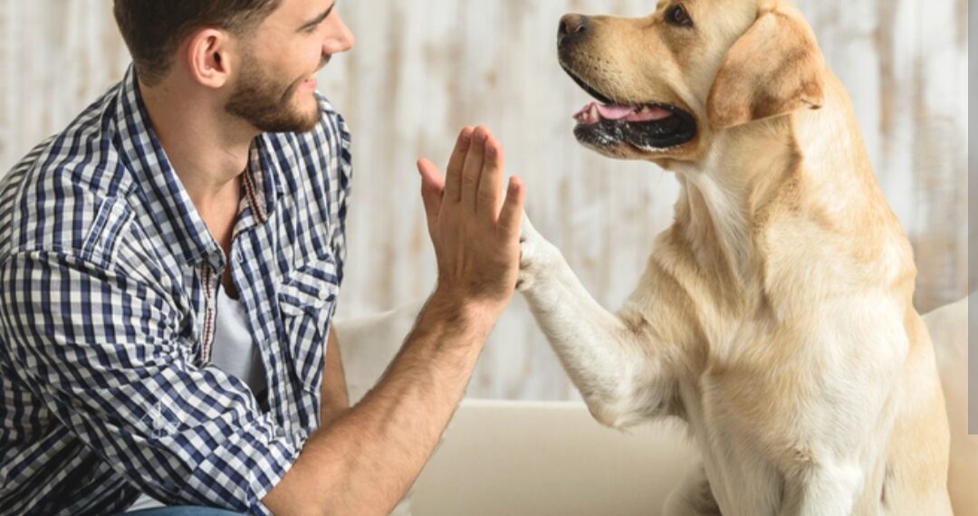Jeste li spremni za psa? 5 važnih pitanja koja si trebate postaviti