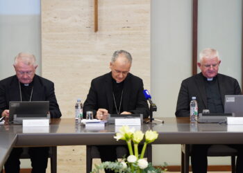 Što biskupi trebaju naučiti iz stalnih skandala zlostavljanja?