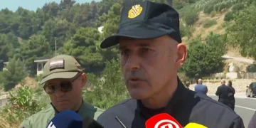 marko srdarević