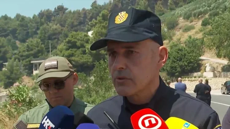 marko srdarević